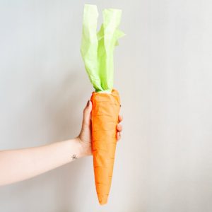 Tissue Paper Carrots – Easter Clothing Gift Wrap
